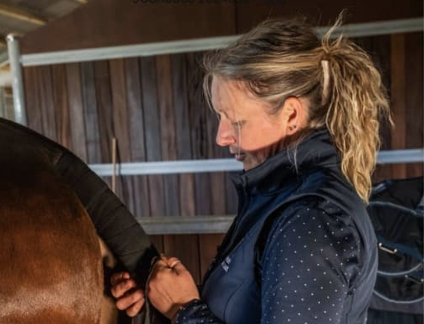 Equine Grooming