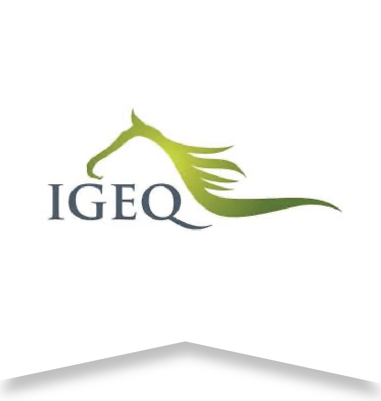 IGEQ Slider